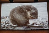 
DSC00204